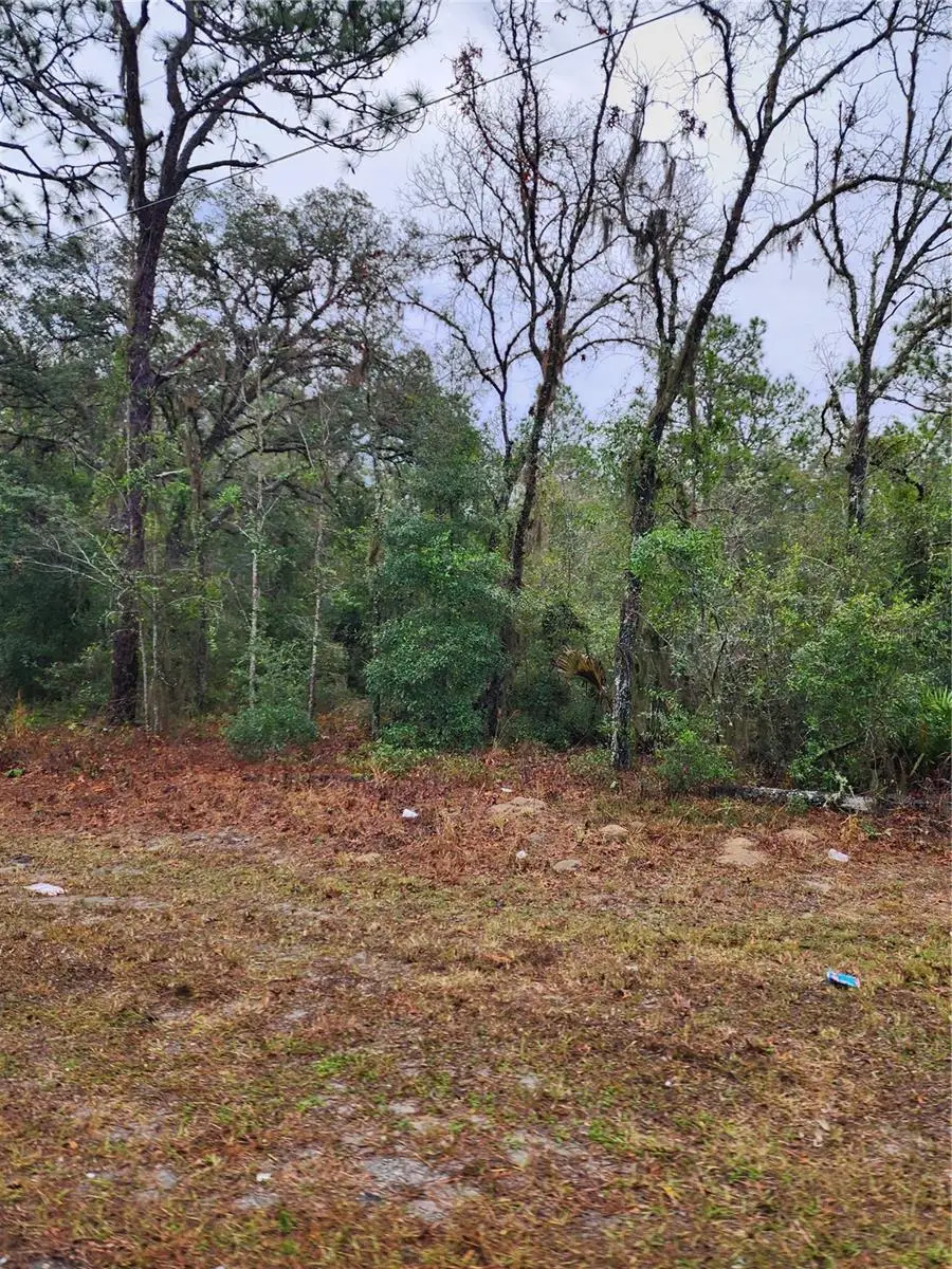 7360 W Dunnellon Road, Dunnellon, FL 34433 - #2