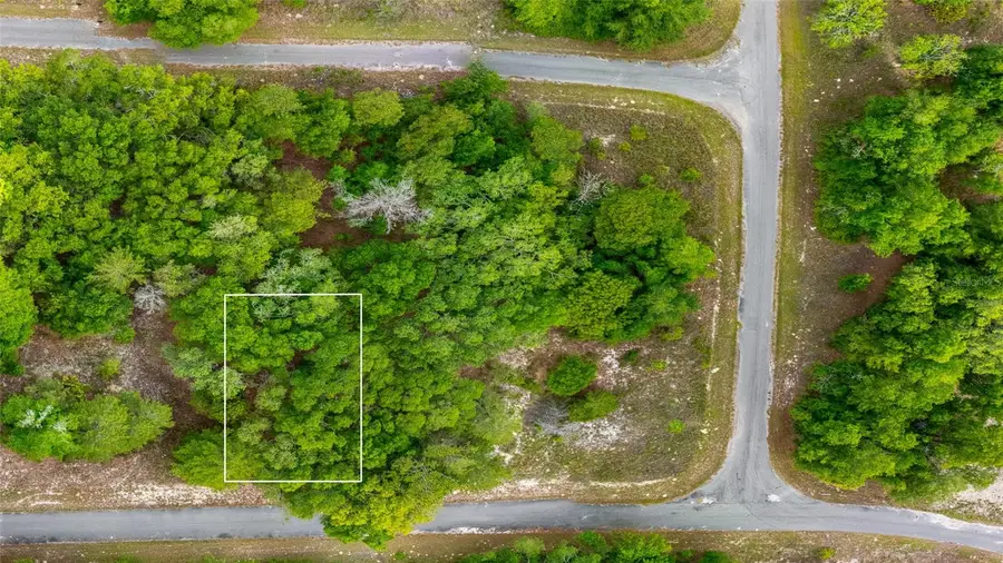 Magnolia Drive, Ocklawaha, FL 32179 - #3