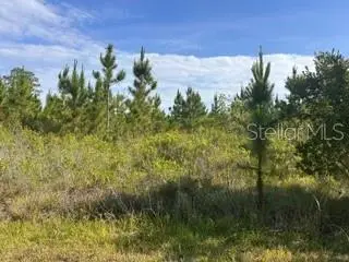 118 (BLK 356 LOT 9) Tropicana Drive, Indian Lake Estates, FL 33855 - #1
