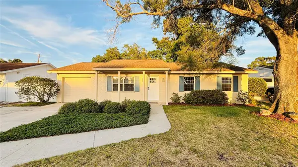 6409 Rosewood Drive, TAMPA, FL 33615