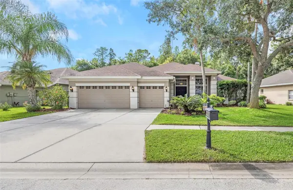 10326 Millport Drive, TAMPA, FL 33626