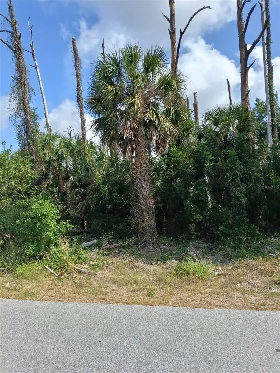 15082 Community Avenue, Port Charlotte, FL 33953 - #3