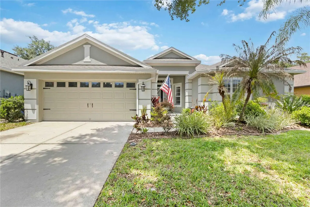 6110 Whimbrelwood Drive, Lithia, FL 33547 - #1