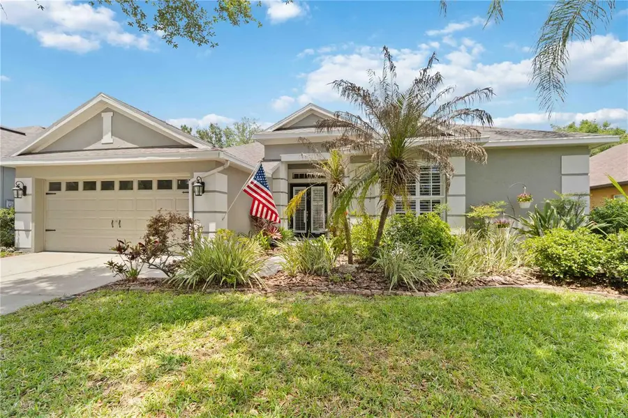 6110 Whimbrelwood Drive, Lithia, FL 33547 - #3