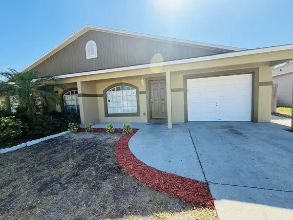 8539 N Hyaleah Road, TAMPA, FL 33617