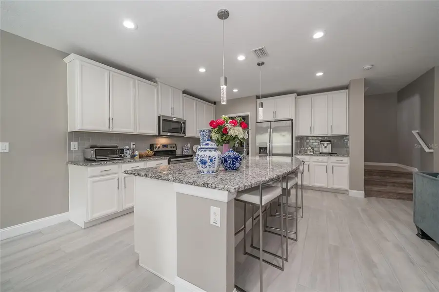 19312 Roseate Drive, Lutz, FL 33558 - #3