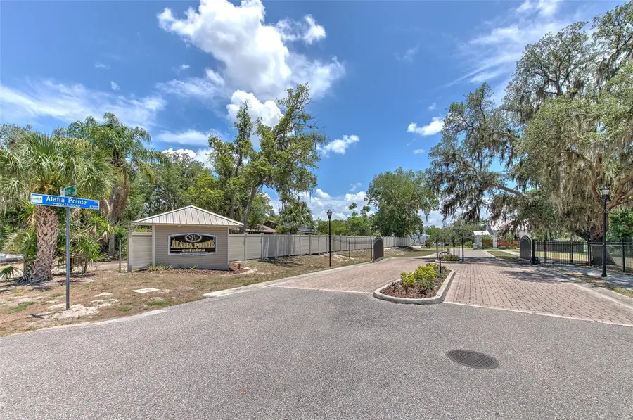8325 Alafia Pointe Drive, Riverview, FL 33578 - #2