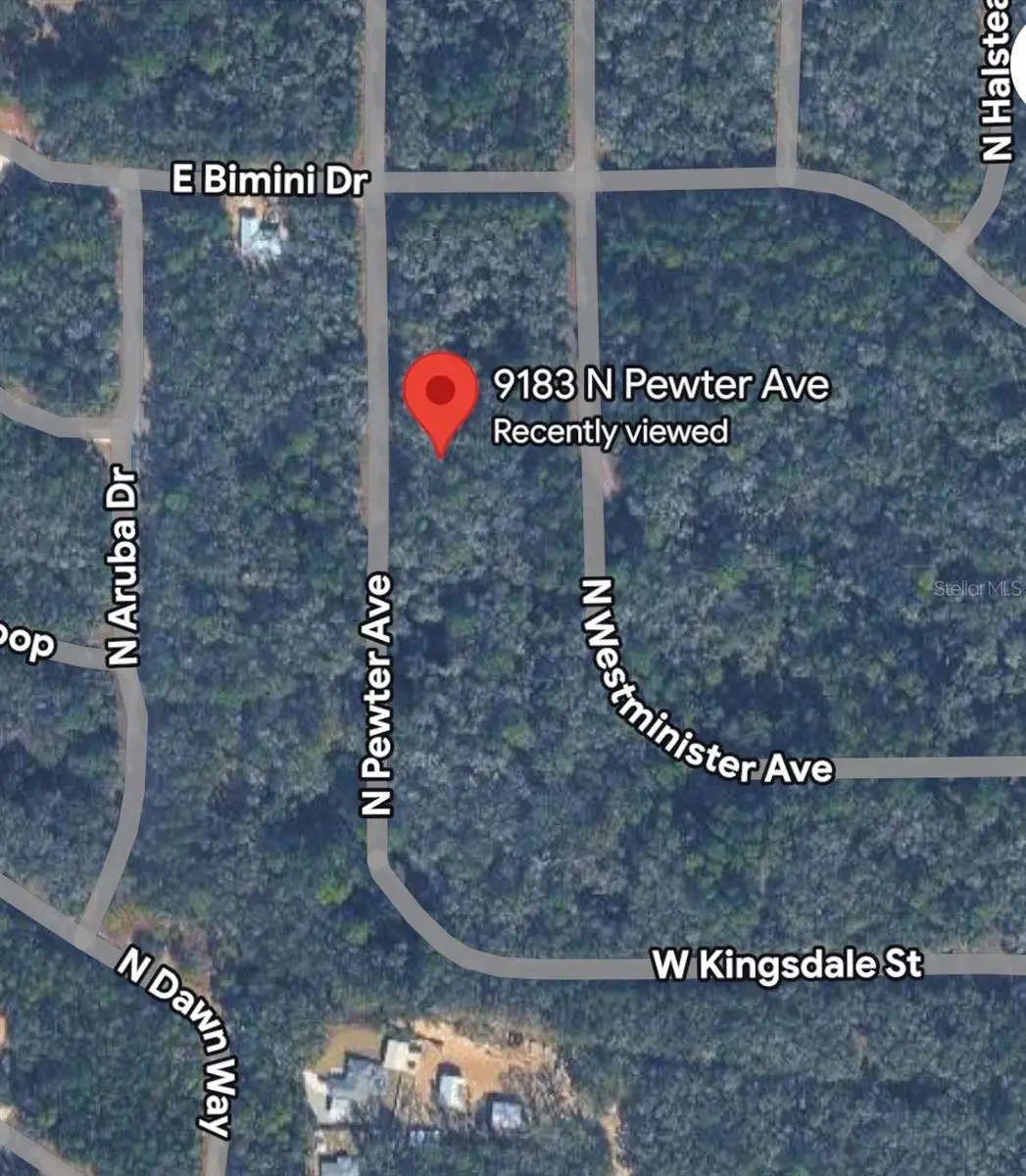 9183 N Pewter Avenue, Dunnellon, FL 34434 - #1