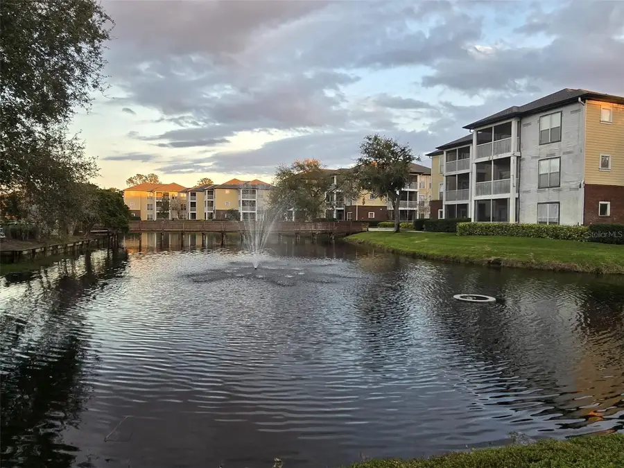 4115 Chatham Oak Court #218, Tampa, FL 33624 - #2
