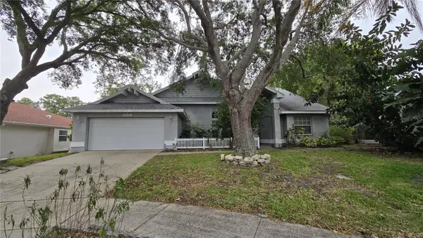 1040 Tradewinds Drive, TARPON SPRINGS, FL 34689