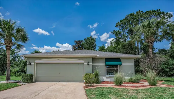 11116 Jenkins Court, SAN ANTONIO, FL 33576