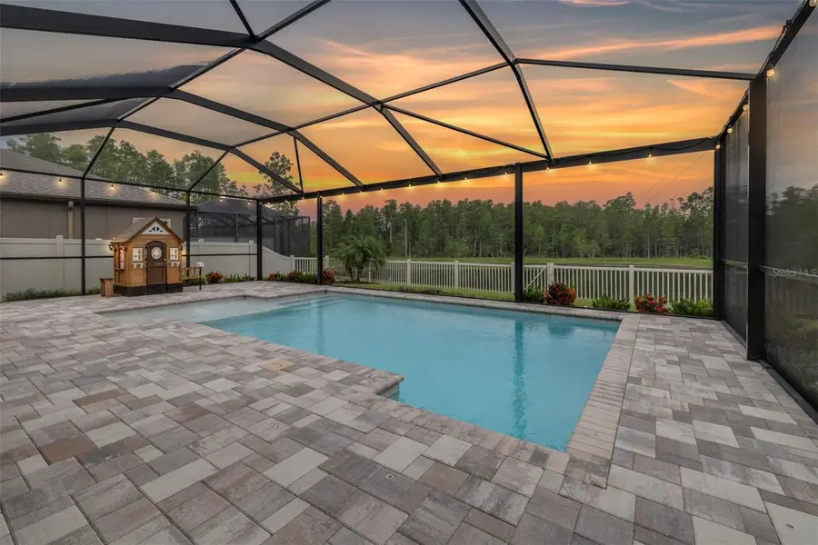 21896 Emory Oak Place, Land O Lakes, FL 34637 - #2