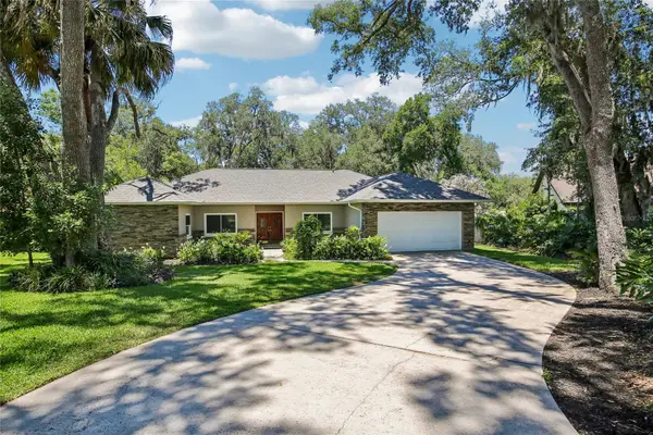 2754 Buckhorn Oaks Drive, VALRICO, FL 33594