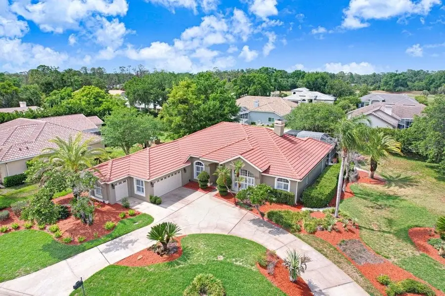 30303 Laurelwood Lane, Wesley Chapel, FL 33543 - #2