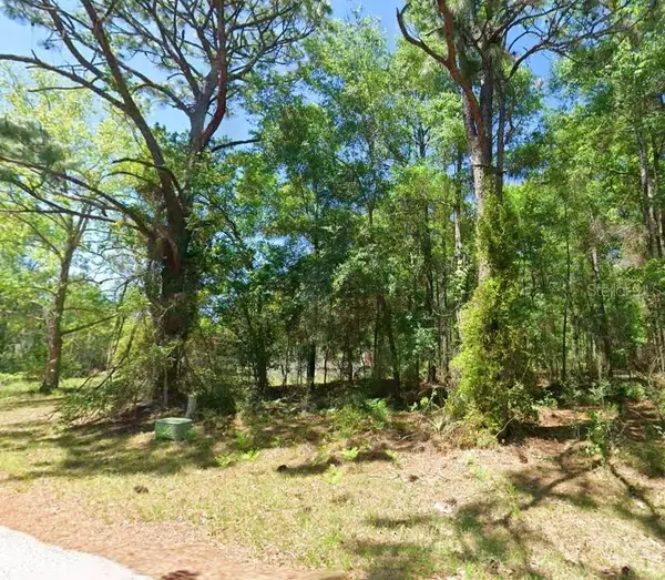 2581 W Pharaoh Court #28, LECANTO, FL 34461