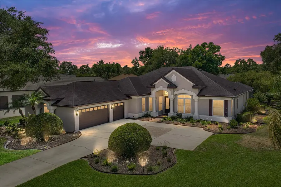 6105 Audubon Manor Boulevard, Lithia, FL 33547 - #2