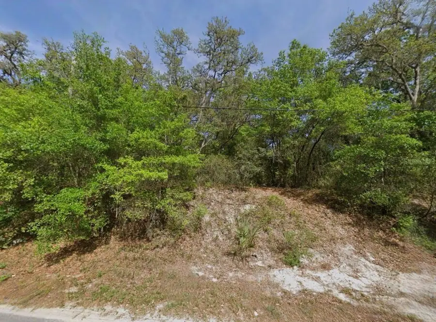 Broward Avenue, Pomona Park, FL 32181 - #2