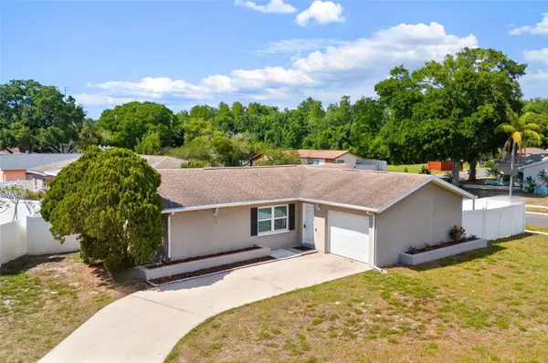 2331 Newton Drive, PALM HARBOR, FL 34683