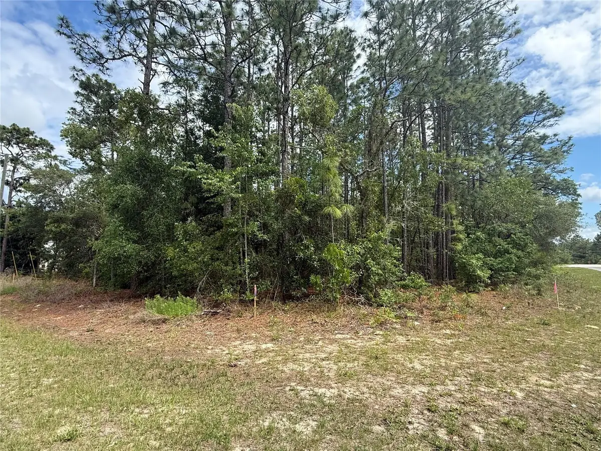 7103 N Hemmingway Drive, Dunnellon, FL 34434 - #1
