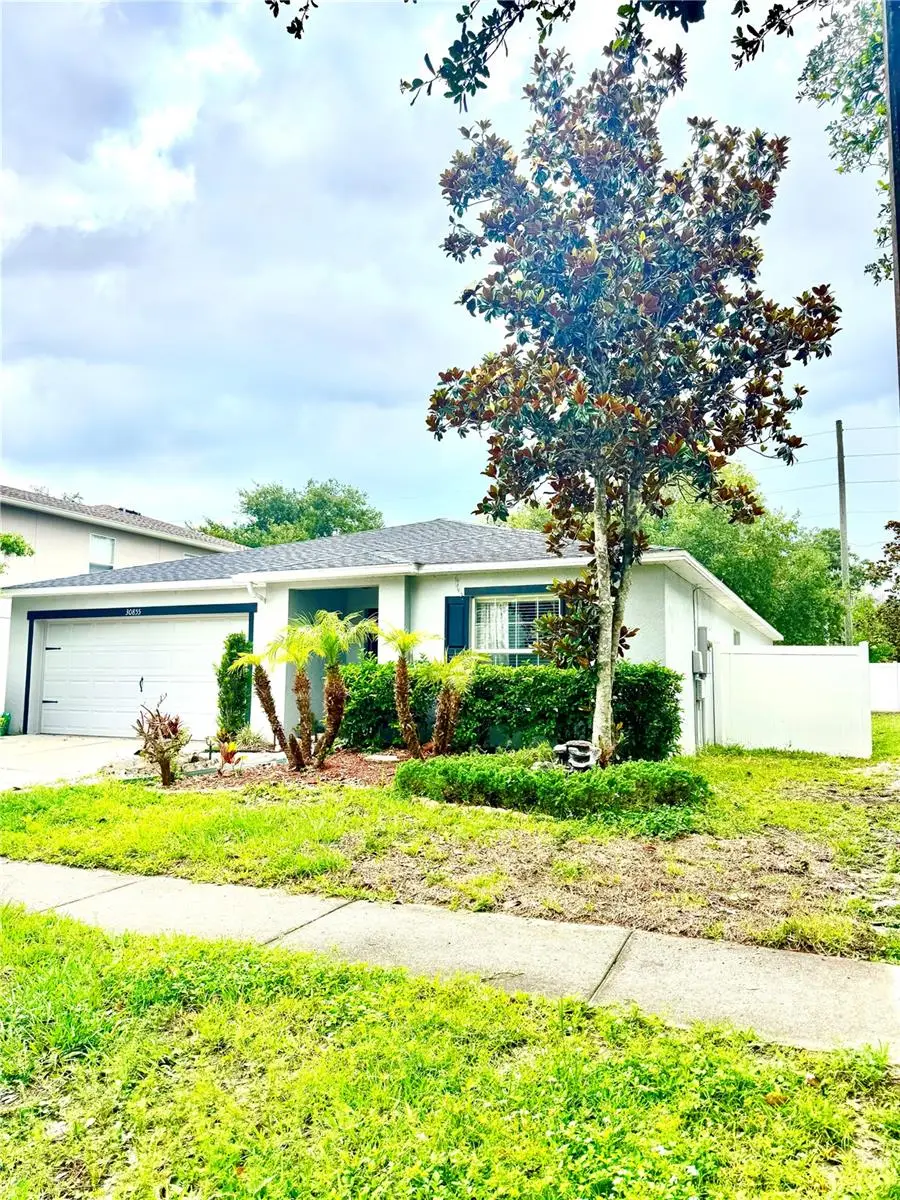 30855 Temple Stand Avenue, Wesley Chapel, FL 33543 - #2