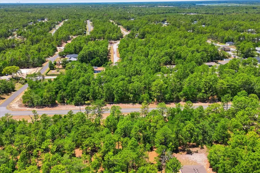 10858 N Elkcam Boulevard, Citrus Springs, FL 34433 - #3