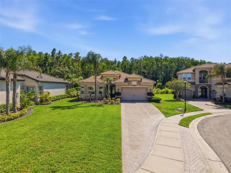 30852 Spruceberry Court, Wesley Chapel, FL 33543 - #2