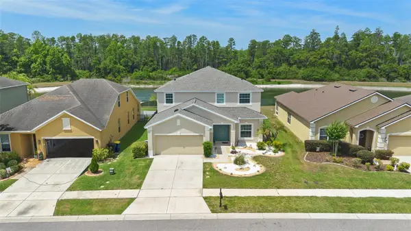 5521 Shasta Daisy Place, LAND O LAKES, FL 34639