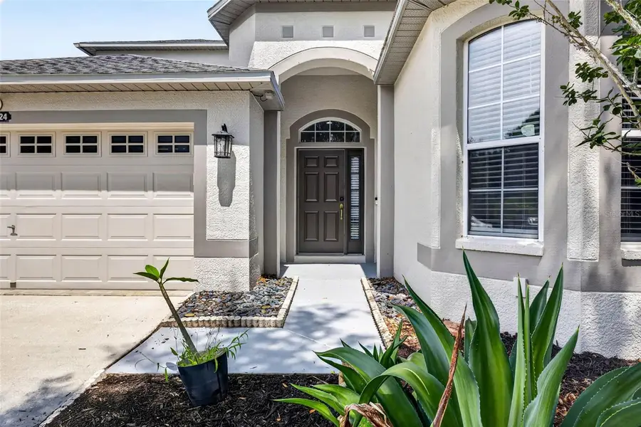 10024 Coldwater Loop, Land O Lakes, FL 34638 - #3