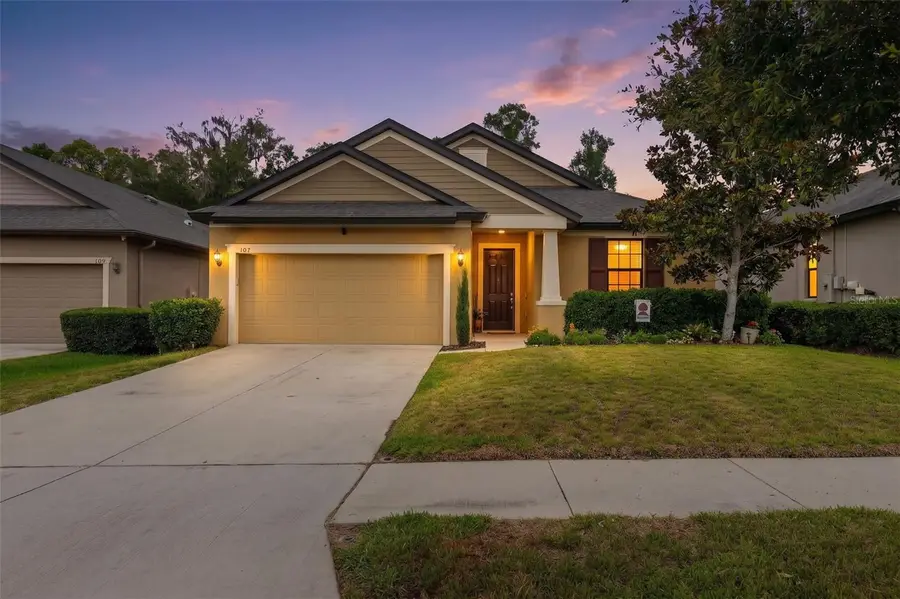 107 Elina Sky Drive, Seffner, FL 33584 - #2