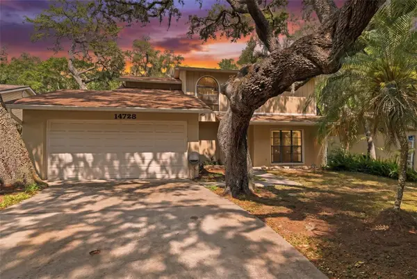 14728 Tall Tree Drive, LUTZ, FL 33559