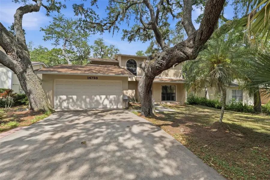 14728 Tall Tree Drive, Lutz, FL 33559 - #2