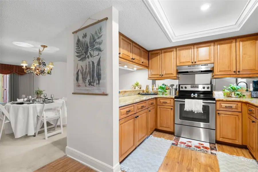 30 Ingrid Place, Oldsmar, FL 34677 - #3