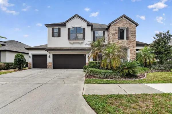 7959 Hampton Lake Drive, TAMPA, FL 33647