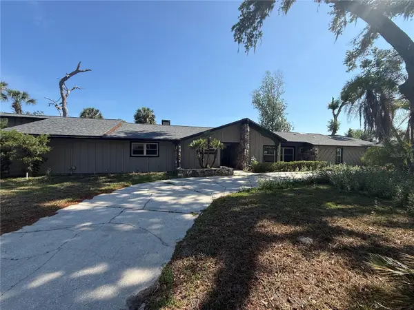 910 River Rapids Avenue, BRANDON, FL 33511