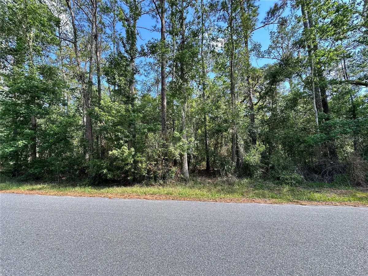 Skyview Circle, Brooksville, FL 34602 - #1