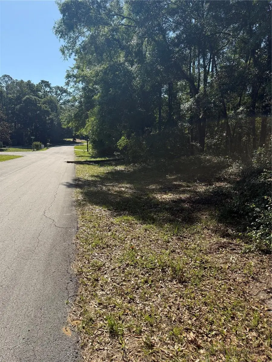 10927 N Airway Loop, Citrus Springs, FL 34434 - #2