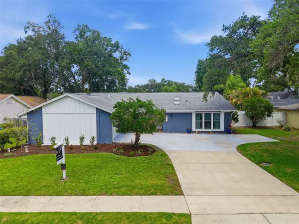 4221 Water Oaks Lane, TAMPA, FL 33618