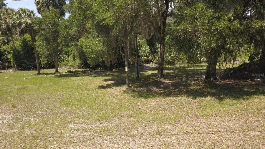 11333 SE 202nd Lane, Inglis, FL 34449 - #3