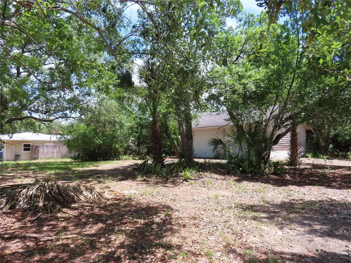 Mayo, Crystal Beach, FL 34681 - #1