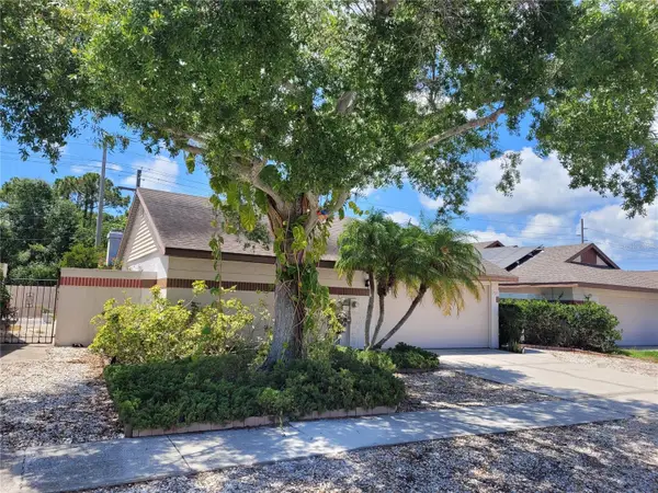 7125 Silvermill Drive, TAMPA, FL 33635