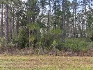 310&312 (BLK368 LOTS 5&6) Alba Drive, Indian Lake Estates, FL 33855 - #2