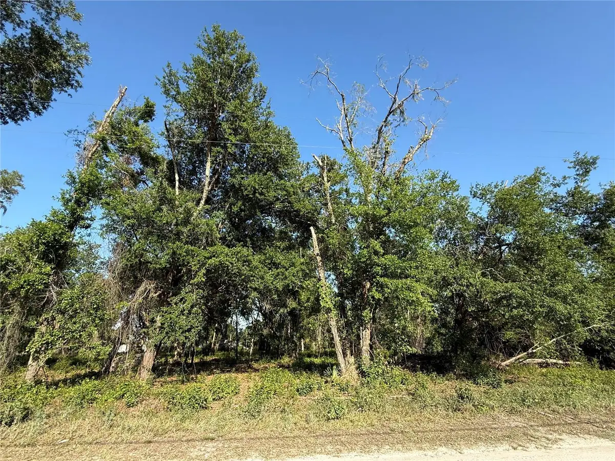 Owens Drive, Zephyrhills, FL 33540 - #1