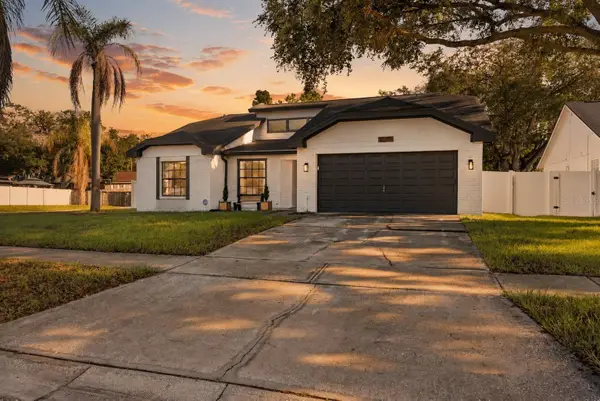 12202 Wildbrook Drive, RIVERVIEW, FL 33569