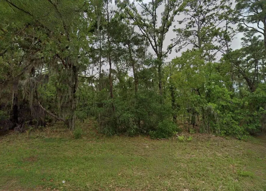 Unassigned, Ocala, FL 34473 - #2