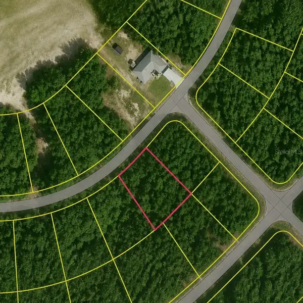 SE Fischer Lane Drive, OCKLAWAHA, FL 32179