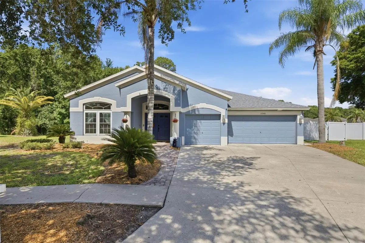 25540 Risen Star Drive, Wesley Chapel, FL 33544 - #1