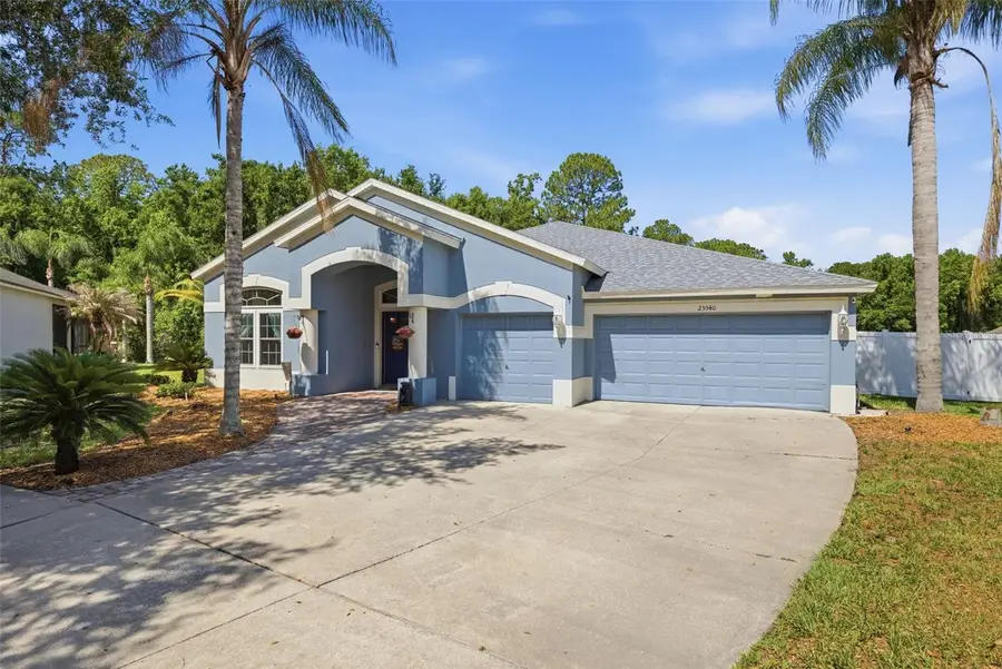 25540 Risen Star Drive, Wesley Chapel, FL 33544 - #2