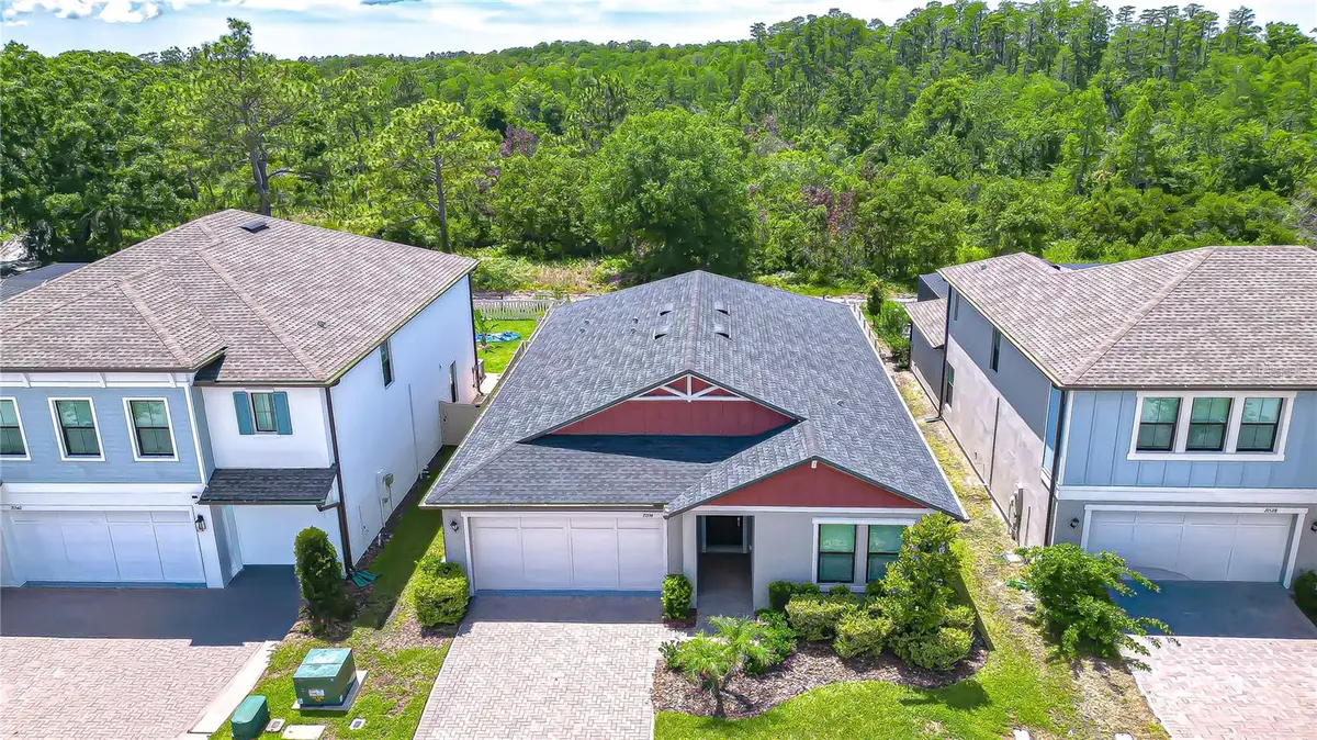 21534 Violet Periwinkle Drive, Land O Lakes, FL 34637 - #1
