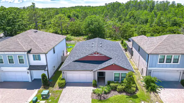 21534 Violet Periwinkle Drive, LAND O LAKES, FL 34637