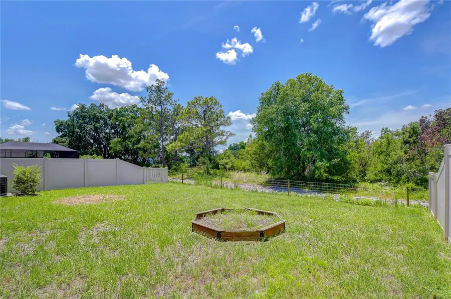 21534 Violet Periwinkle Drive, Land O Lakes, FL 34637 - #2